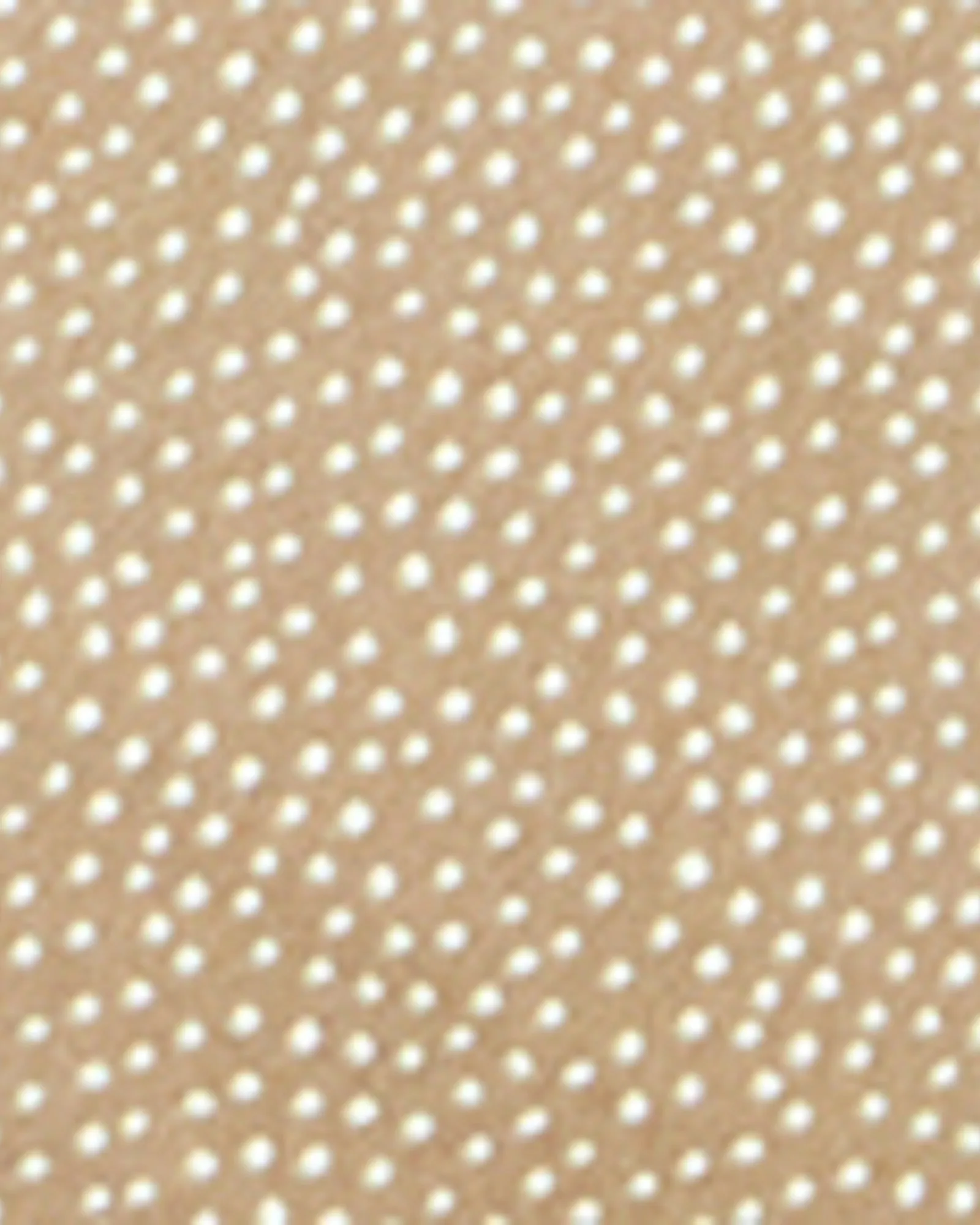 Zuri Cropped Pull On Pant | Brown / Ivory